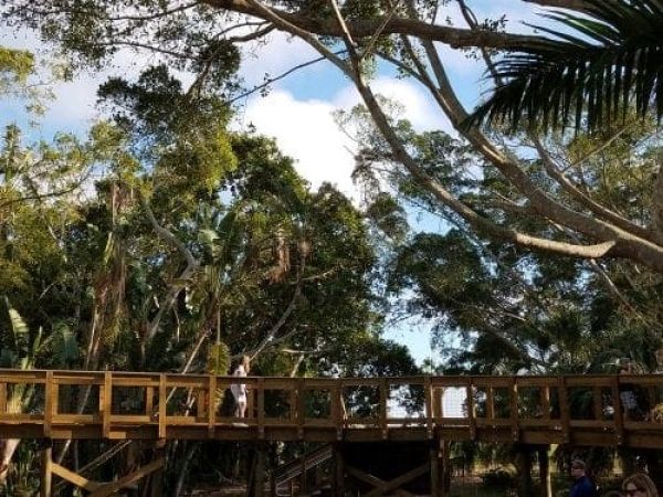 NEST at Robinson Preserve