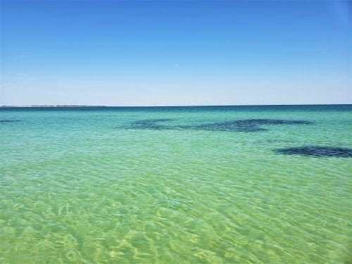 Coast Lines: Happy Earth Day from Anna Maria Island