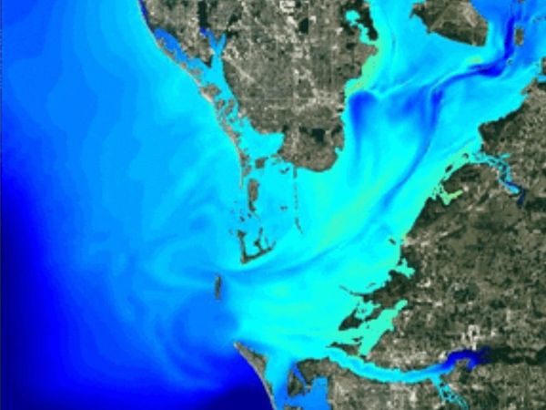 Piney Point-algae link explored