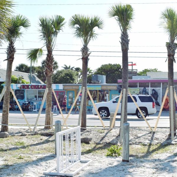 Bradenton Beach celebrates Arbor Day park improvements