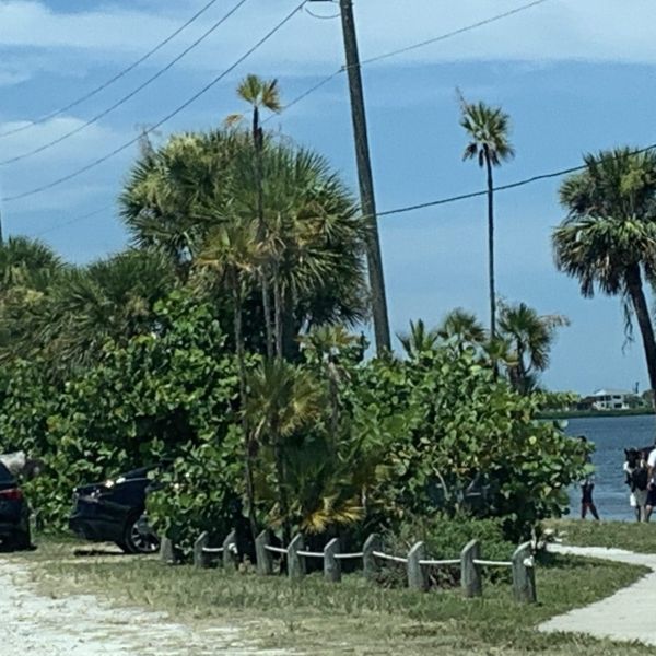 Horses gallop onto CME agenda