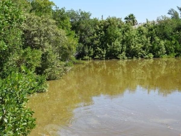 Problems plague Spring Lake residents