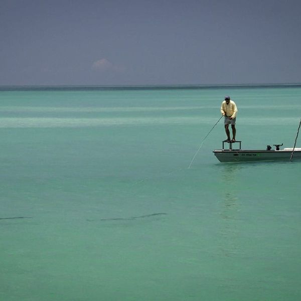 Reel Time: Tarpon time