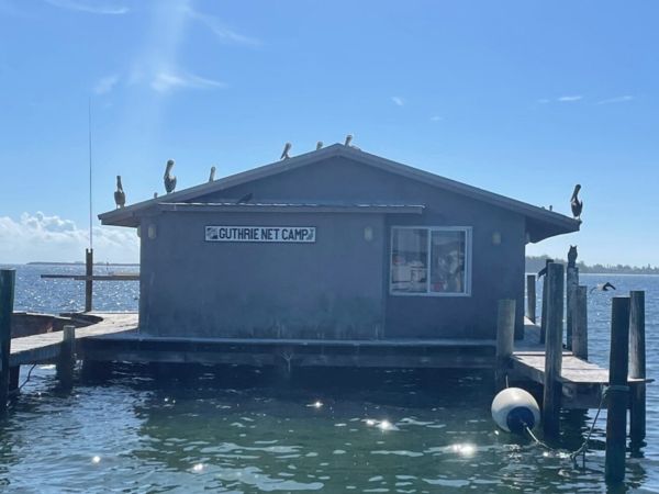 State seeks contempt ruling in net camp case