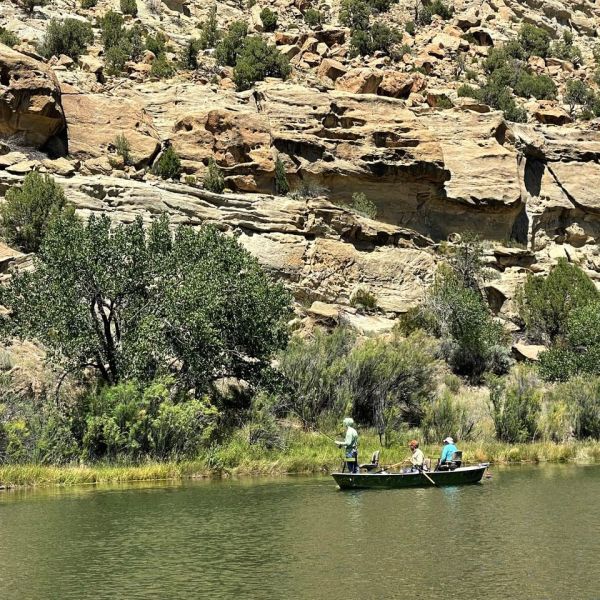 Reel Time: On the road