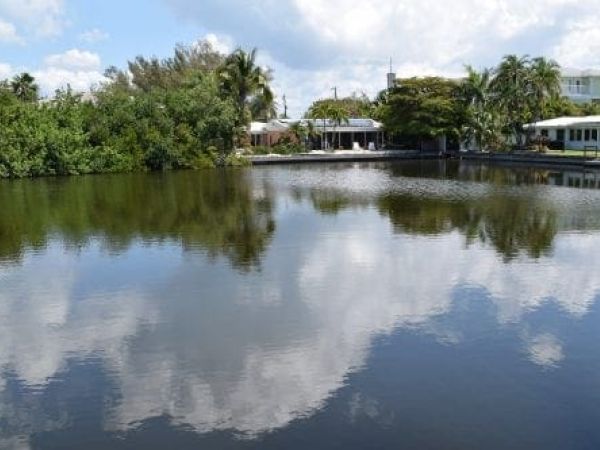 Spring Lake cleanup options presented