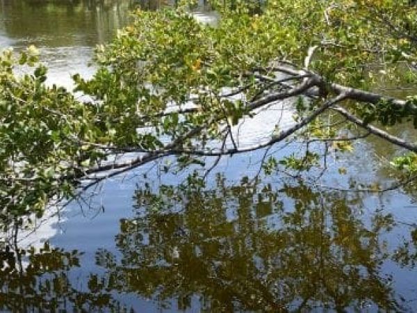 Aeration plans take shape for Spring Lake