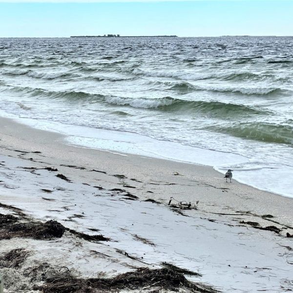 Erosion expected to resolve naturally