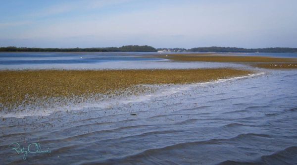 Reel Time: The ups and downs of tides