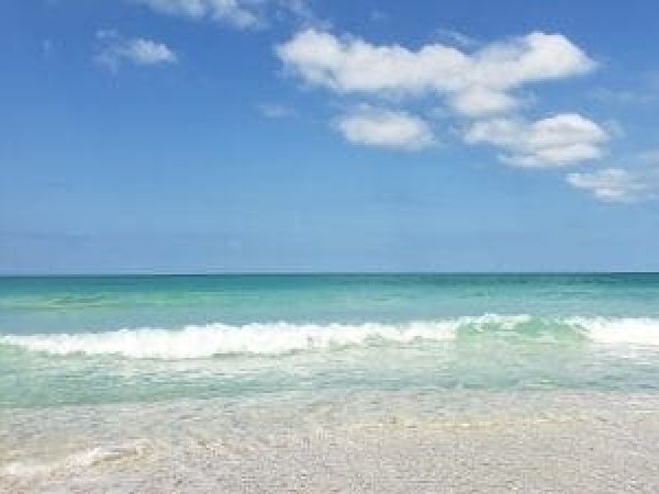 Blue-green algae and red tide found in local waters