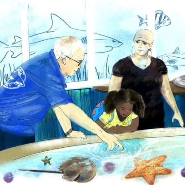 Mote Marine outreach center to open in May