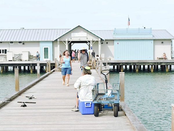 Commission formally extends Mote Marine deadlines