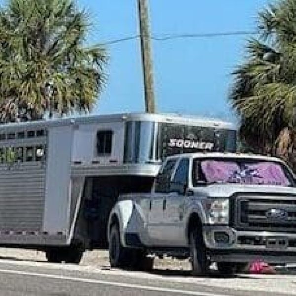 Commission discusses commercial activity in public spaces