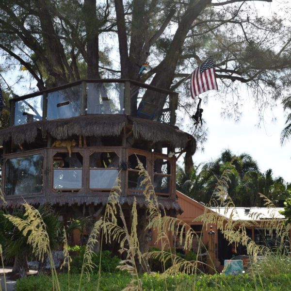 Treehouse demolition imminent