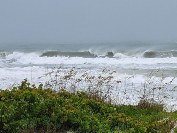Hurricane Debby leaves AMI soaked