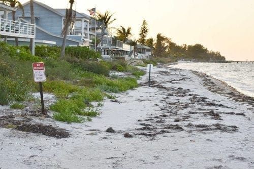 Anna Maria Beach Use Dispute