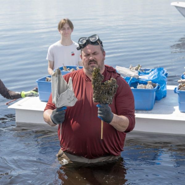 Restoration efforts go big