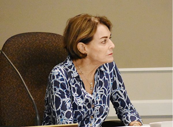 Vetting process enacted for commission appointment