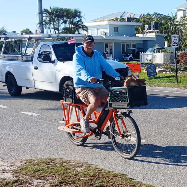 E-bikes regulated like bicycles