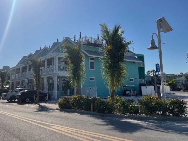 Eighty new coconut palms line Bridge Street