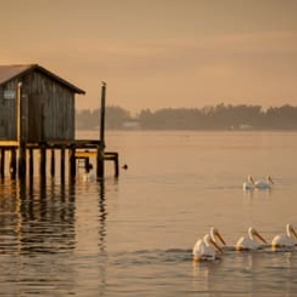 An anniversary of resilience