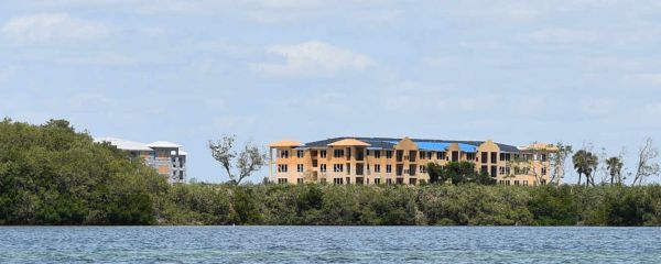 FDEP releases Aqua mangrove trimming report