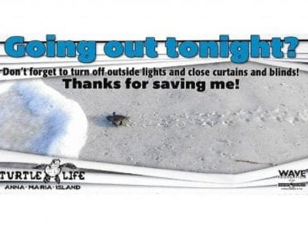 Turtle window cling