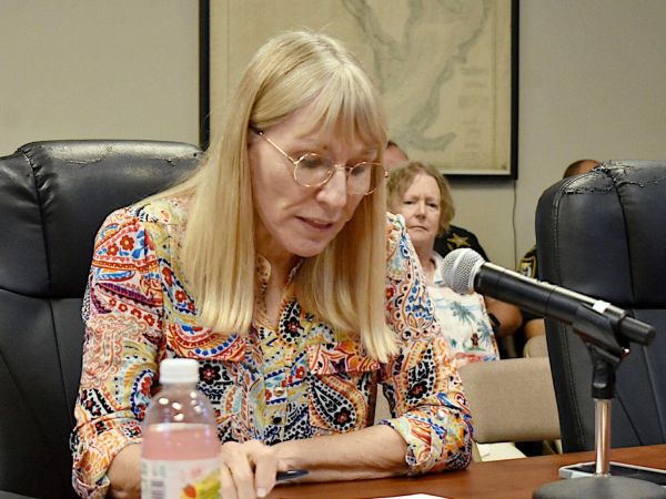 Vacation rental bills advancing