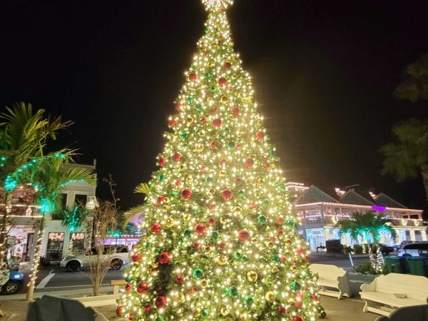 Christmas tree lighting to spark holiday season