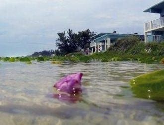 Flood insurance rates changing