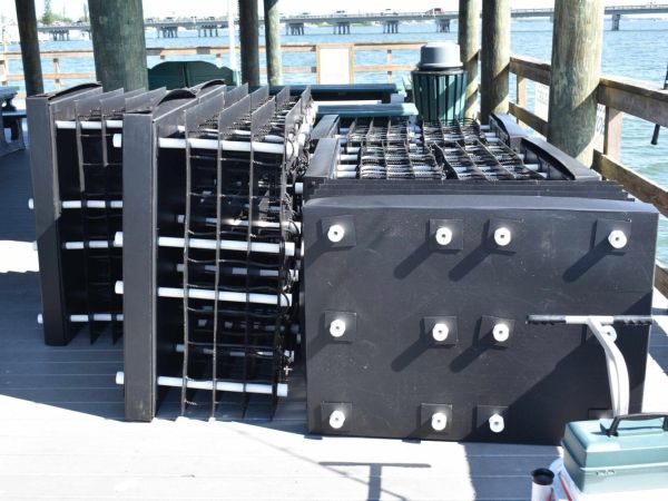 Mini reefs at pier repaired without approval