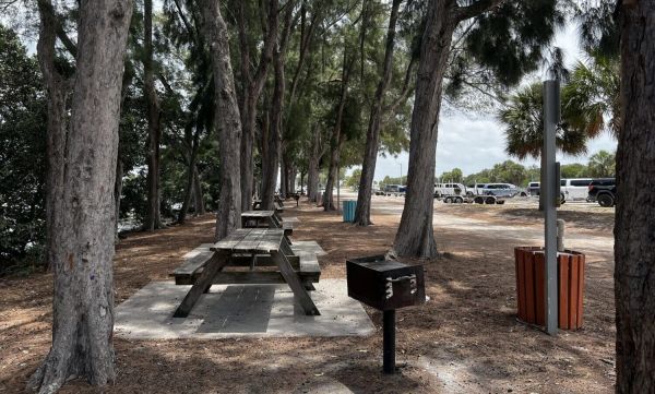Kingfish renovations make room for water taxi