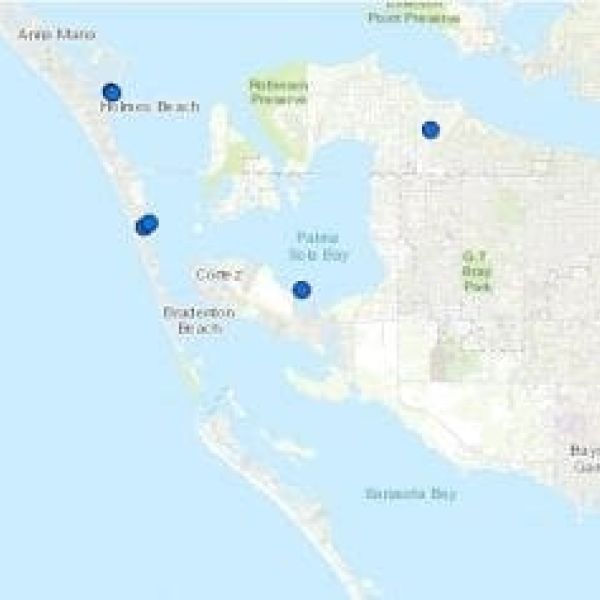 Blue-green algae remains