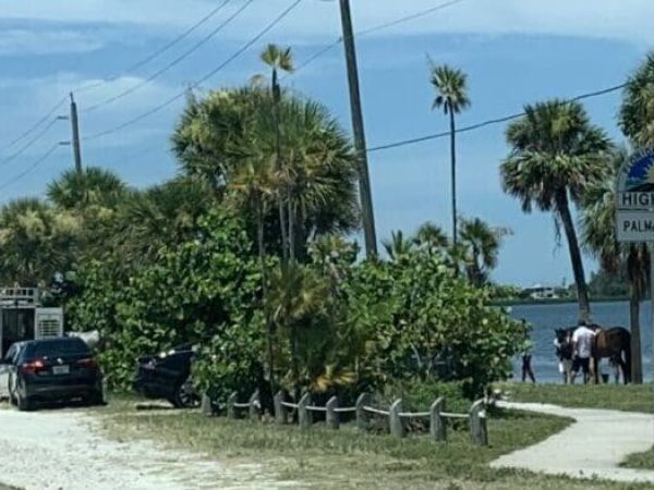 Scenic Highway CME talks horses on the causeway