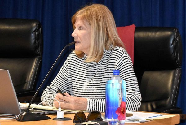 Planning commission will not review site plans