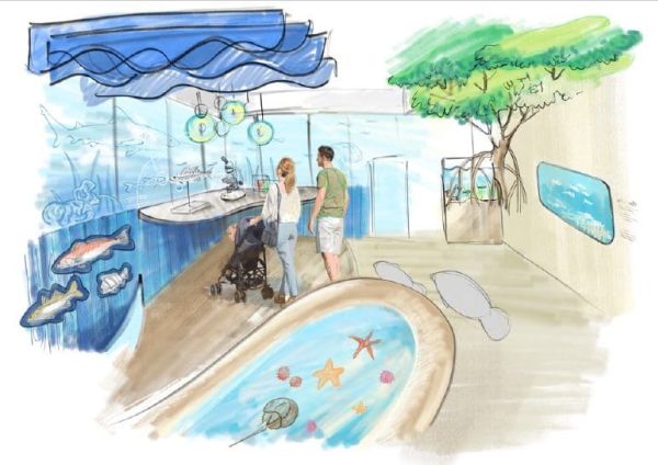 Mote given 2023 deadline to complete City Pier facility