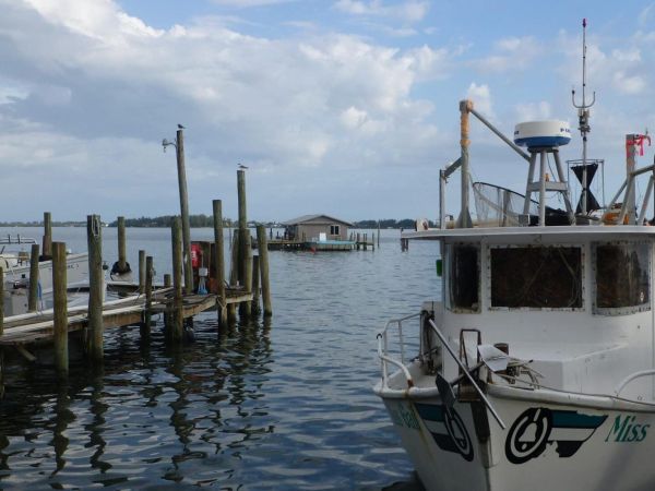 Net camp headed back to court