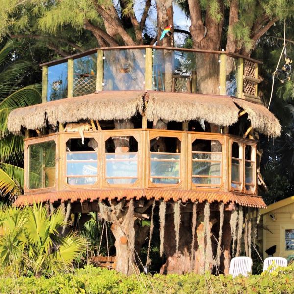 Judge orders demolition of treehouse