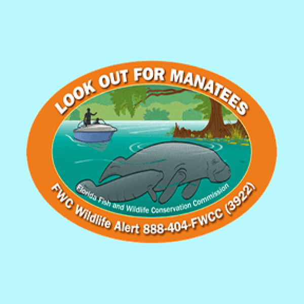 manatee decal