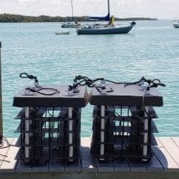 Mini reefs installed at Mar Vista