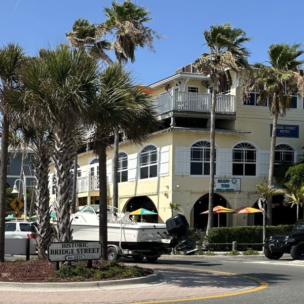 Dog attack injures woman, kills dog