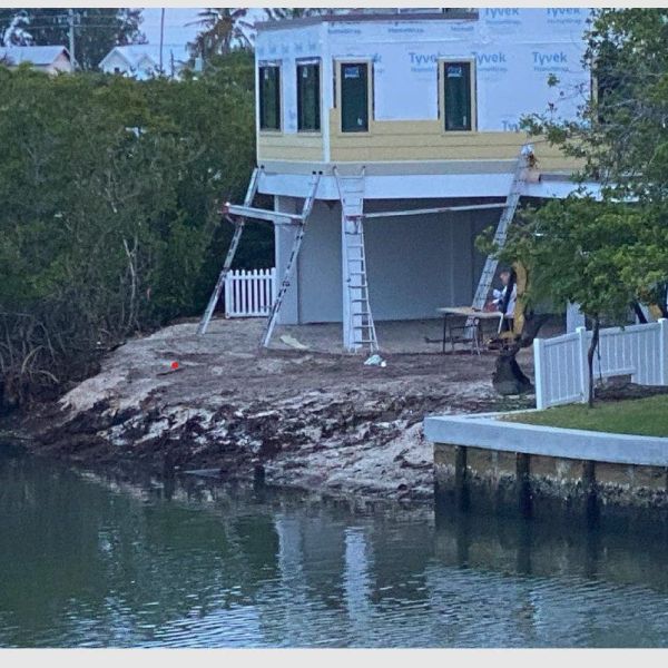 Mangrove removal triggers scrutiny