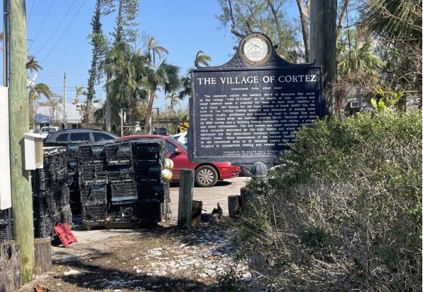 Cortez moves forward with stone crab harvest