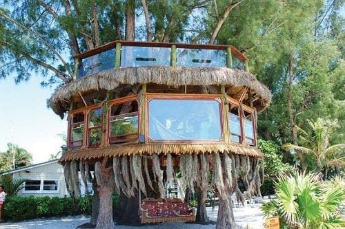Tree house