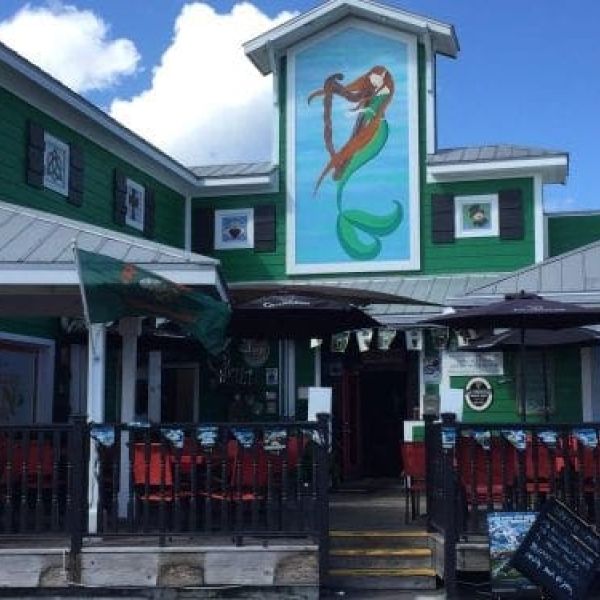 Freckled Fin purchase