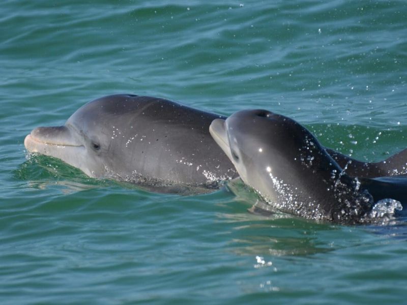 Beleaguered area waters still producing miracles