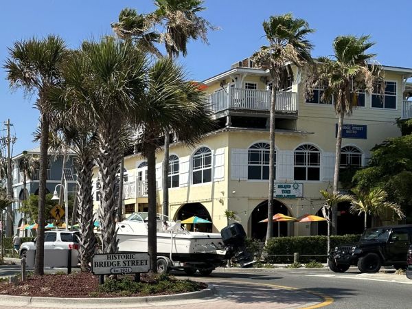 Dog attack injures woman, kills dog