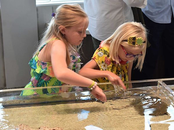 Anna Maria: The Year in Review