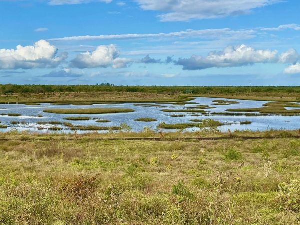 Reel Time: Oyster River Ecology moving restoration forward