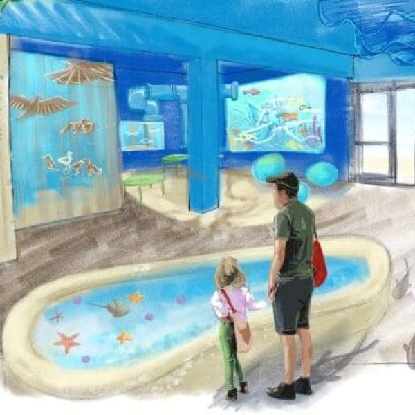 Mote Marine facility opening May 5